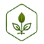 ico jardin