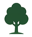 jardin arbre