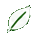 petite feuille