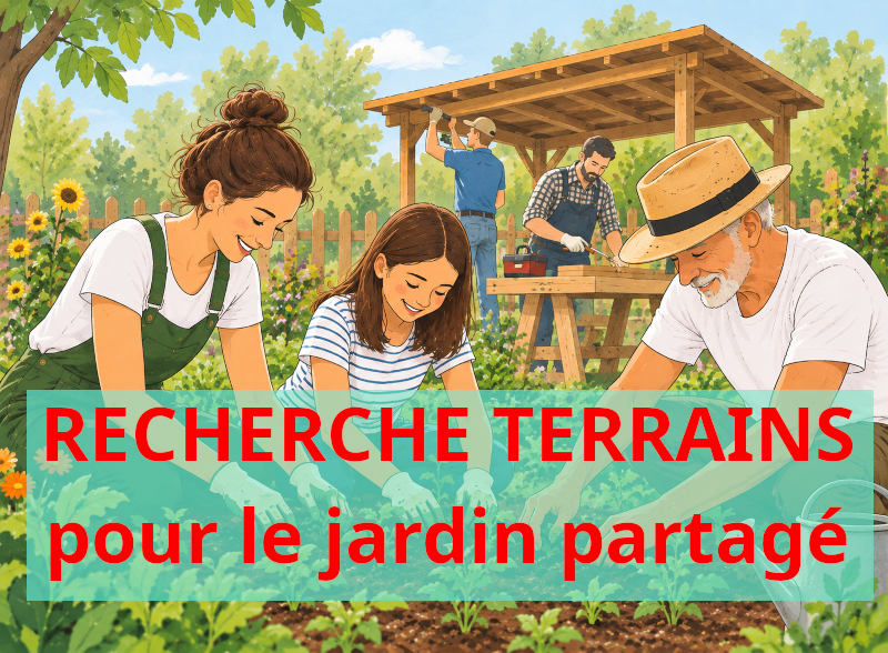 lescultidees web jp dessin 1 2